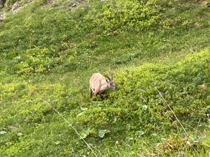 Photo de Norbert Herbig le long du parcours