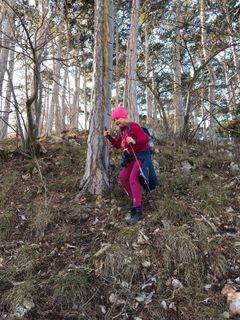 Foto von Kellner Heidi entlang der Tour