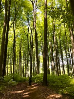 Foto de Kellner Heidi a lo largo del recorrido