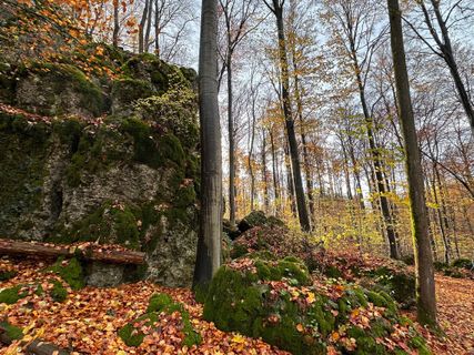 Foto de Norbert Herbig a lo largo del recorrido