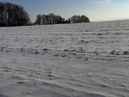 Photo de Norbert Herbig le long du parcours