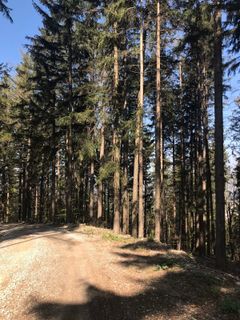 Zdjęcie z Kellner Heidi wzdłuż trasy