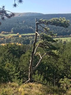 Foto von Kellner Heidi entlang der Tour