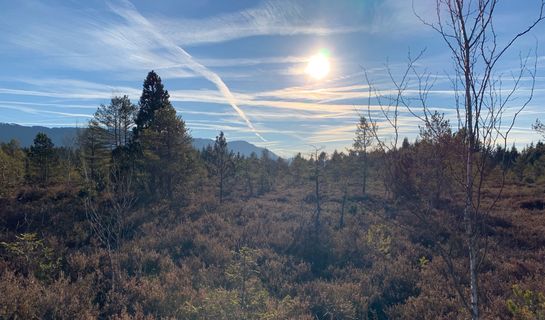 Photo de Kerstin Müller le long du parcours