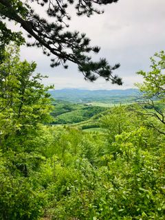 Foto von Kellner Heidi entlang der Tour