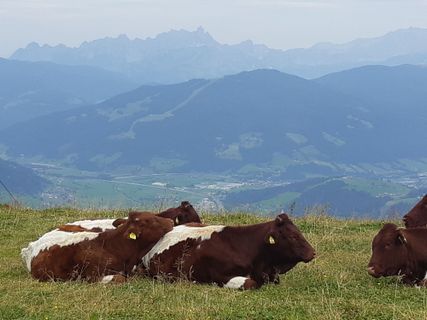 Photo de mmecki le long du parcours