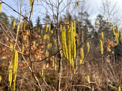 Photo de Norbert Herbig le long du parcours