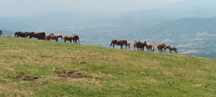 Foto von Gabriele Cucchi entlang der Tour