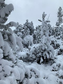 Foto de Dragana Martinovic a lo largo del recorrido