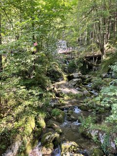 Photo de Emix le long du parcours