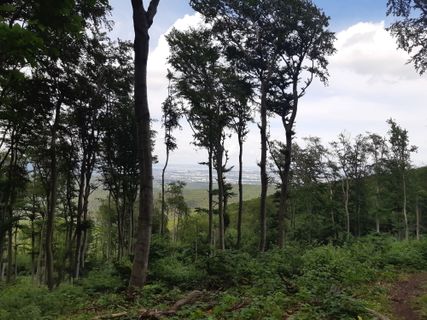 Foto de mmecki a lo largo del recorrido