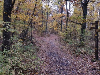 Fotografia z Ferenc Kiss na trase