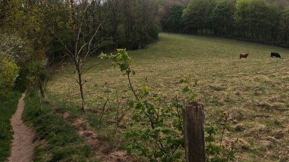 Fotografia z Bernd Schmitt na trase