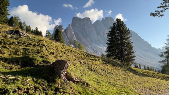 Foto de ROBERTO BONIOTTI a lo largo del recorrido