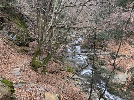 Photo de GabrielSR76 le long du parcours