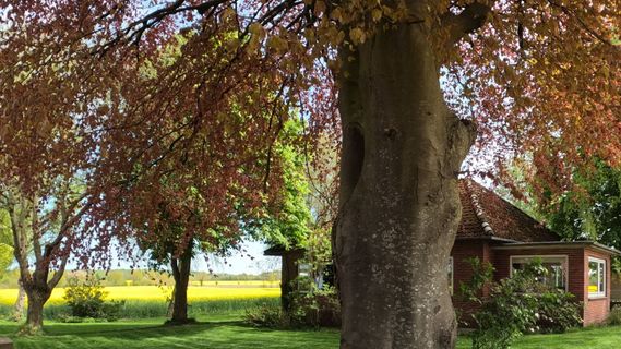 Foto de Bernd Schmitt a lo largo del recorrido