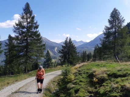 Foto de mmecki a lo largo del recorrido