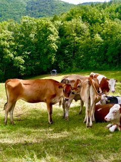 Foto von Kellner Heidi entlang der Tour