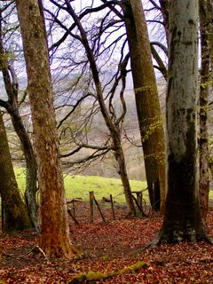 Foto von Kellner Heidi entlang der Tour
