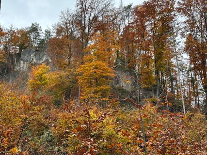Fotografija s spletne strani Norbert Herbig na poti