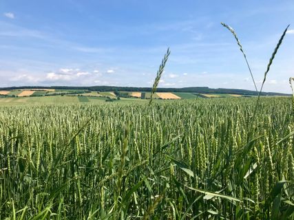 Foto von Kellner Heidi entlang der Tour