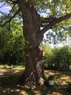 Foto von Kellner Heidi entlang der Tour