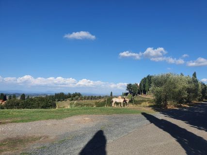 Foto de Holm Trittel a lo largo del recorrido