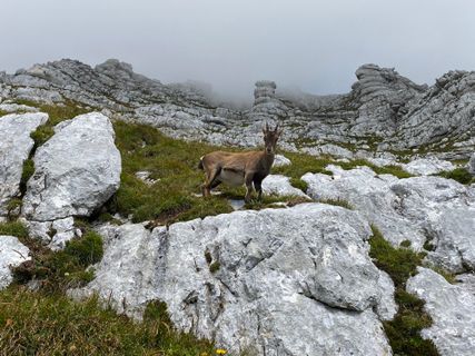 Foto de Fabio Infanti a lo largo del recorrido