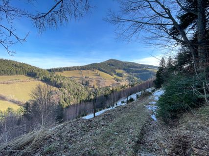 Fotografia z Gerald na trase