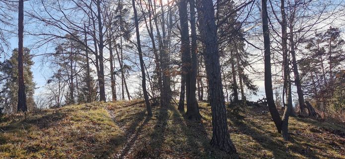 Foto von Albegger Nelly entlang der Tour