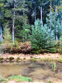 Foto von Kellner Heidi entlang der Tour
