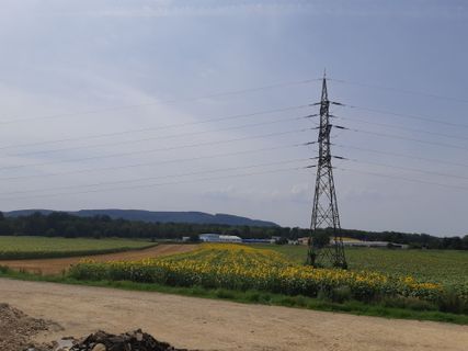 Fotografia z mmecki na trase