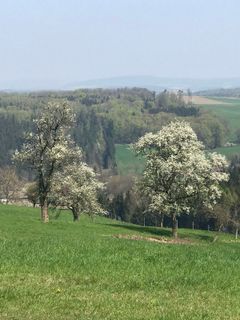 Foto von Kellner Heidi entlang der Tour