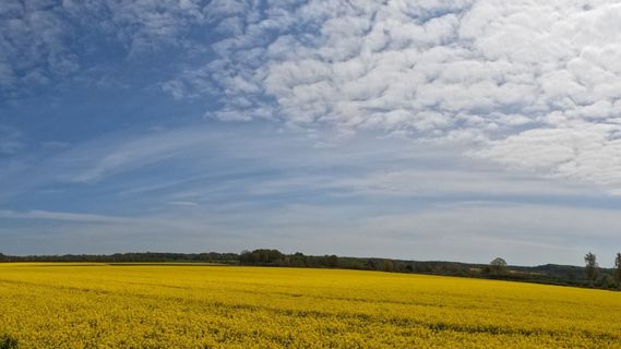 Foto de Bernd Schmitt a lo largo del recorrido