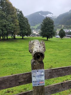 Photo de mmecki le long du parcours