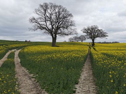 Fotografija s spletne strani Bernd Schmitt na poti