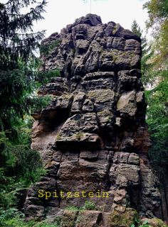 Fotografie z Jörg Rost na trase