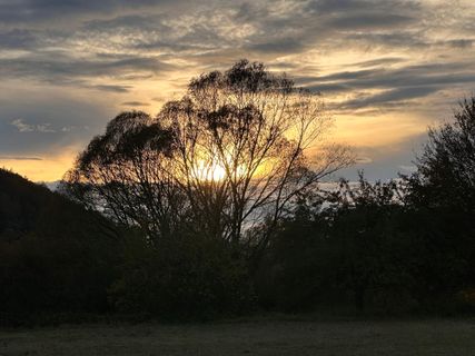 Foto de Norbert Herbig a lo largo del recorrido