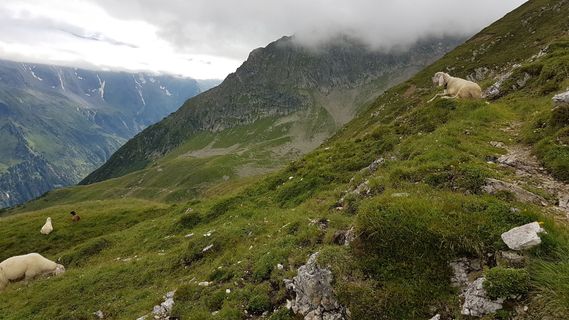 Zdjęcie z Tor Fich wzdłuż trasy
