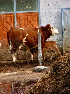 Fotografie z Kellner Heidi na trase