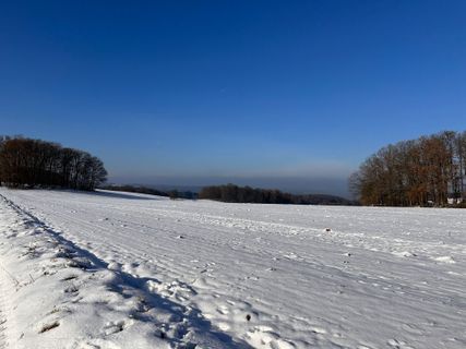 Photo de Norbert Herbig le long du parcours