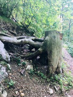 Foto von Kellner Heidi entlang der Tour