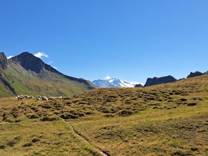 Foto von Florian Dumpfhart entlang der Tour