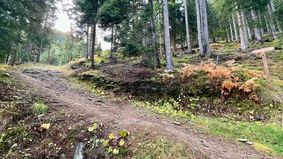 Foto von Katja Hechler entlang der Tour