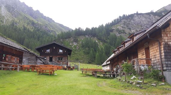 Photo de mariann le long du parcours