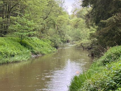 Fotografie z Norbert Herbig na trase