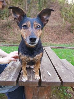 Fotografia z Antonietta Havasi na trase