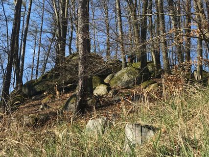 Photo de Marianne Porskrog le long du parcours