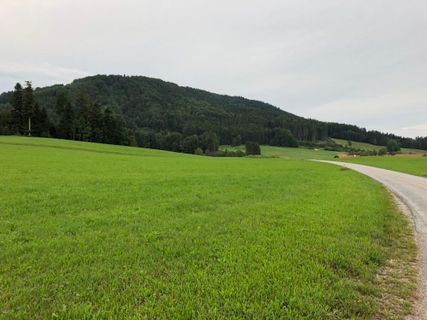 Fotografie z Andreas E. Neuhold na trase