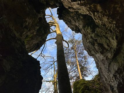 Fotografie z Norbert Herbig na trase